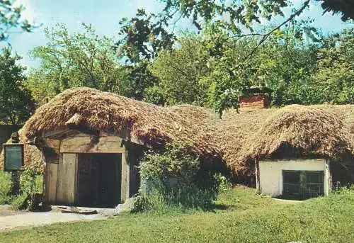 Romania Muzeul Satului Bordei din comuna Castranova, jud. Dolj sec XIX