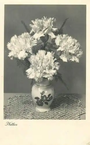 carnations vase floral arrangement still life