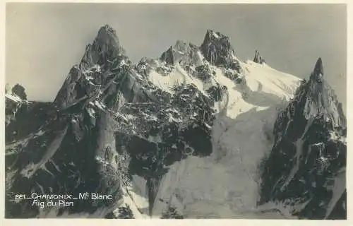 France Chamonix-Mont Blanc Aig du Plan paysage de montagne detail
