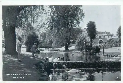 United Kingdom England Dawlish Lawn Gardens swans