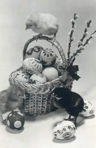 Easter greetings Postcard Easter pencilled eggs basket chicken poultry