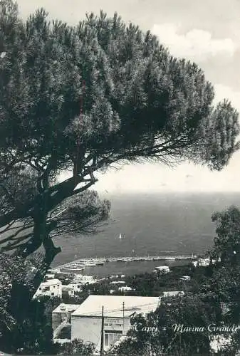 Postcard Italy Capri Marina Grande