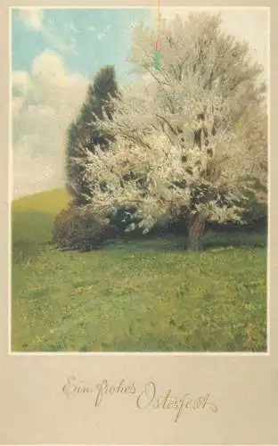 Easter greetings Postcard flowery blossom tree detail view