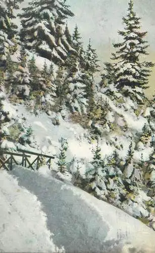 Postcard winter day picturesque snow-covered landscape  detail aspect
