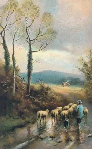 signed illustration Post card shepherd with flock rural life aspects
