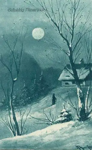 New Year greetings signed illustration Postcard winter night moonlight atmosphere