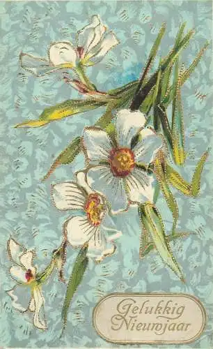 New Year greetings illustration Postcard daisies bouquet painting