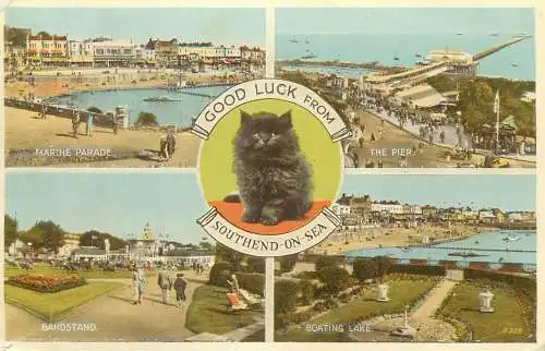 Postcard England Southend-on-Sea multi view long-haired black cat