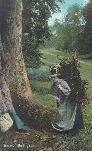 Postcard Uk England forest wood carrier woman