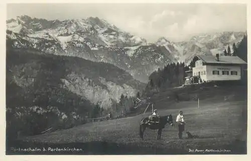 Postcard Germany Partnachalm mountain area horse