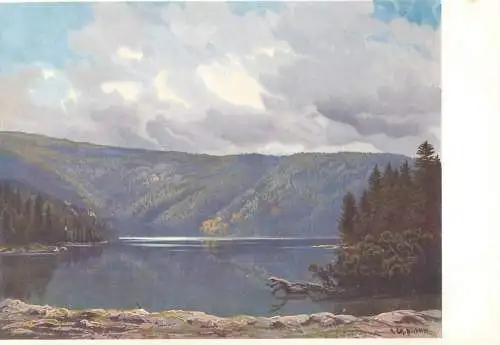 Postcard Germany Buhmerwald Schwarzer See