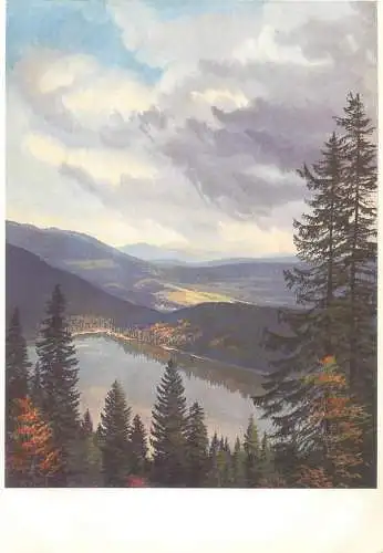 Postcard Germany Buhmerwald hotel Rigi painting