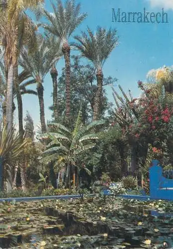Postcard Morocco > Marrakesh les jardins de Majorelle