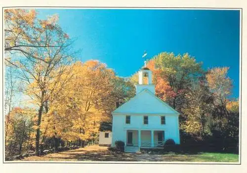 Postcard USA NY New York Albany autumn