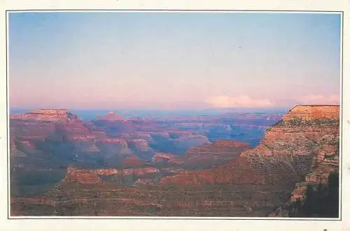 Postcard USA AZ Arizona the Grand Canyon