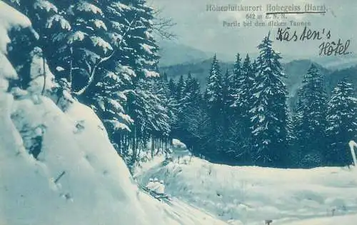 Post card Germany Hohenluftkurort Hohegeiss Harz Partie bei den dicken Tannen