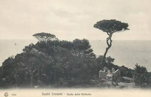 Post card Italy Sestri Levante Genova Punta della Penisola