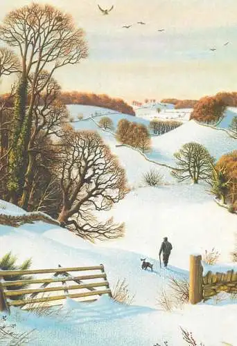 Postcard Netherland winter scenery and dog