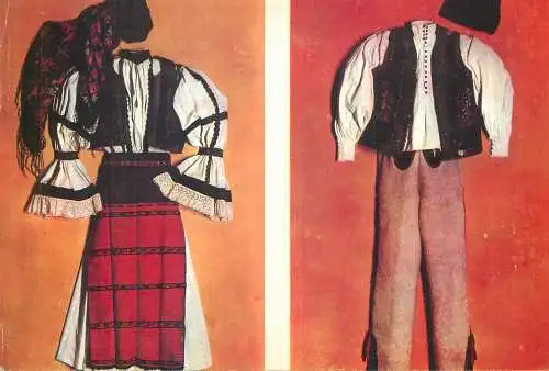 Postcard Romania vedere costume populare Zalau Buciumi