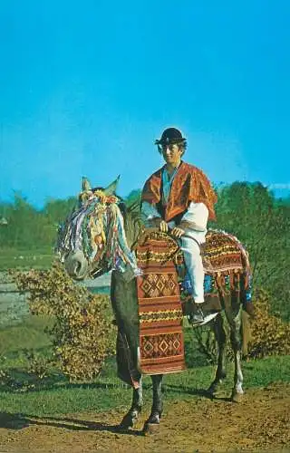 Postcard Romania vedere costume populare calaras de nunta Avrig Sibiu