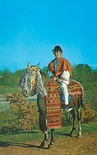 Postcard Romania vedere costume populare calaras de nunta Avrig Sibiu