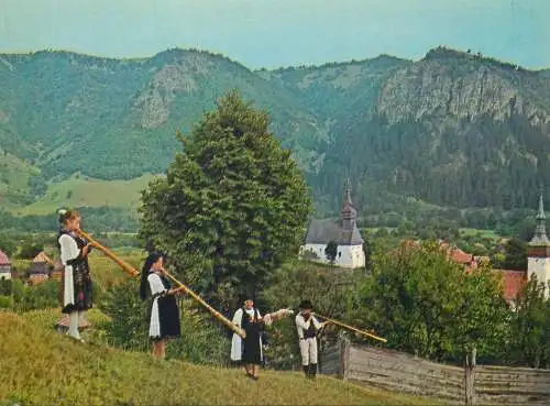 Postcard Romania vedere costume populare cu tulnicul