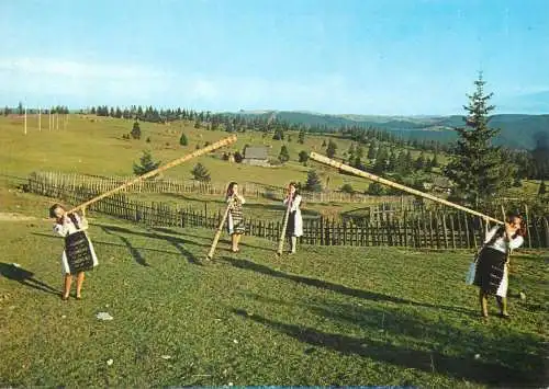 Postcard Romania vedere costume populare Belis Cluj Tulnicarese