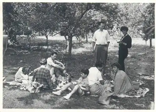 Photo ca. 6 x 9 cm social history family picnic