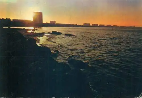 Postcard Romania vedere Mamaia 1981
