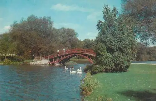 Postcard Canada bridge over the Avon river swans