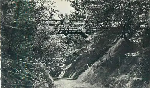 Postcard Netherlands De Steeg Holleweg rustic wooden bridge painting