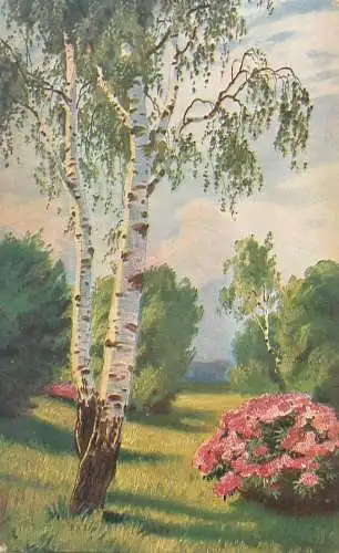 Postcard roses bush park view illustration
