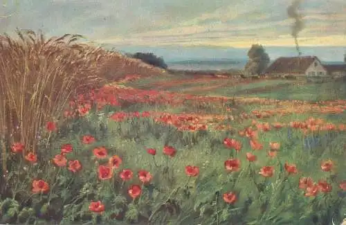 Postcard poppy field picturesque countryside area painting