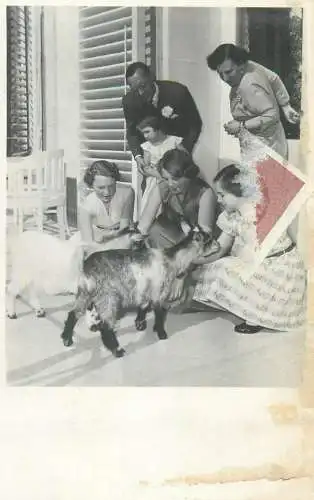 Postcard parents and young girls feeding baby goat