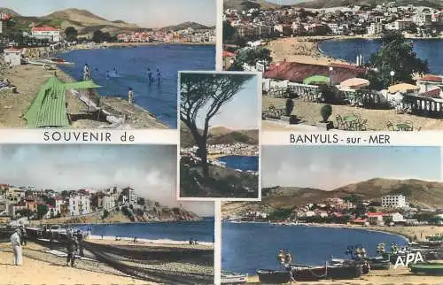 cpsm France Pyrénées Orientales Banyuls sur Mer La Cote Vermeille