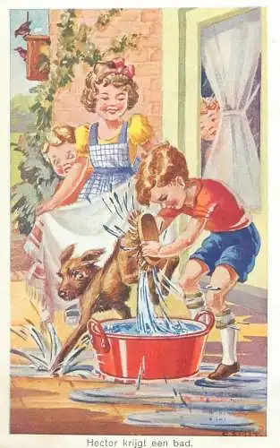 signed Postcard dog Hector gets a bath funny comic illustration