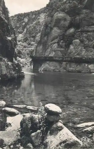 cpsm France Pyrénées Orientales Amelie-les-Bains gorges du Mondony
