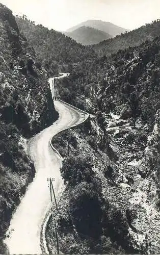 cpsm France Pyrénées Orientales Le Boulou route d'Espagne