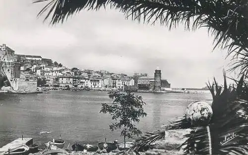 cpsm France Pyrénées Orientales > Collioure vue artistique