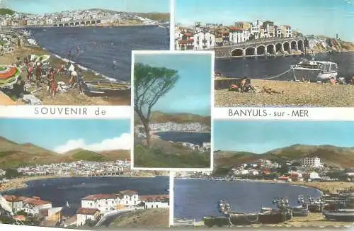 cpsm France Pyrénées Orientales > Banyuls sur Mer 1965