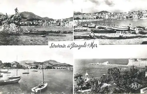 cpsm France souvenir de Banyuls -Sur-Mer 1957