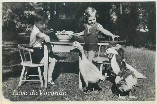 Postcard children types young boy and girl in the garden feeding geese