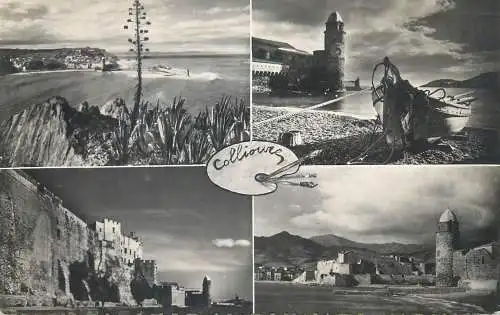 cpsm France Pyrénées Orientales > Collioure