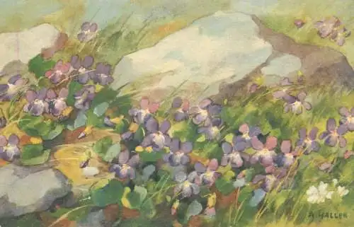 Post card wild flowers detail view A. Haller signed painting