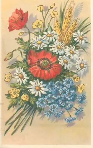 Dutch Post card colourful wild flowers bouquet