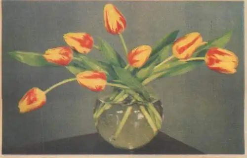 Heartfelt greetings Dutch Postcard tulips