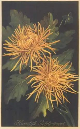 1958 Breda Netherlands Warm greetings Postcard chrysanthemum