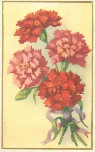 Dutch Postcard carnation bouquet