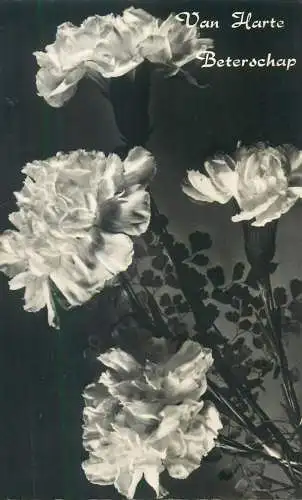 Netherlands speedy recovery greetings Postcard carnations