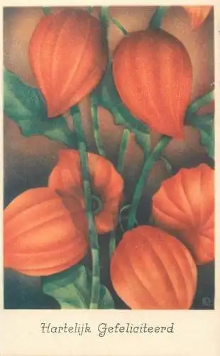 Heartfelt greetings Post card Netherlands physalis franchetti detail view